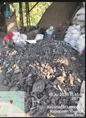 charcoal briquettes close up